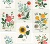Botanical Prints White & Pink Wallpaper thumbnail 0