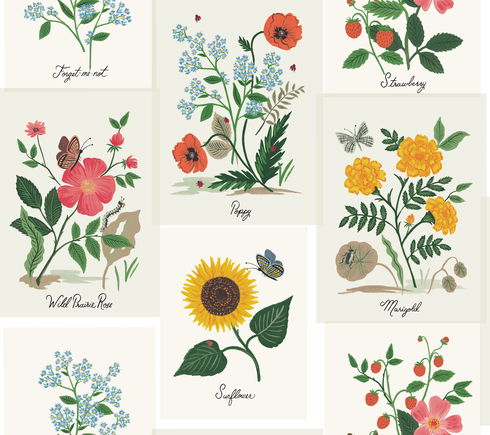 Botanical Prints White & Pink Wallpaper