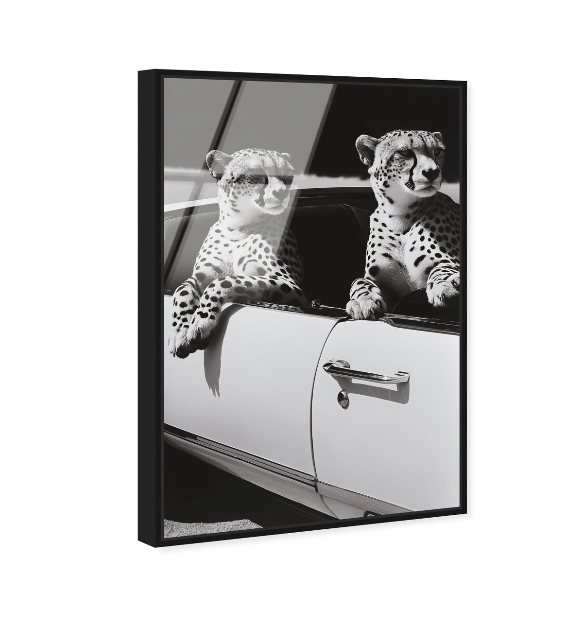 Convertible Feline II (No Embellishment), by Oliver Gal,  20x30 View 2