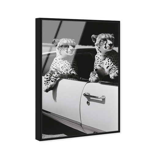 Convertible Feline II (No Embellishment)