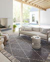 Loloi II Rainier Rug thumbnail 1