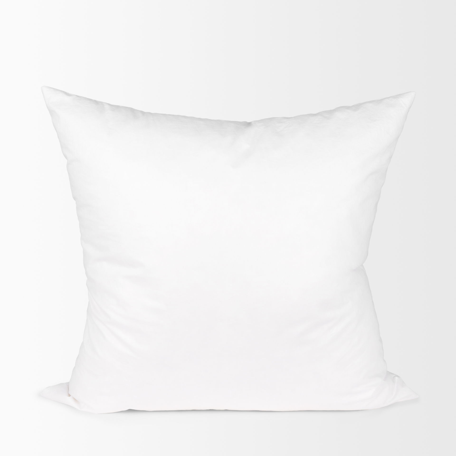 22 x 22 Down pillow insert large image 