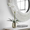 Cami Orchid With Brass Pot, Decorative by Uttermost, 14" width x 24" height x 8" depth thumbnail 4