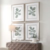 Fiddle Head Leaf Botanical Prints Set/4, Art by Uttermost, 28" width x 34" height x 2.12" depth thumbnail 4