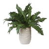 Verdure Fern In Glazed Pot, Artificial Plants & Flower by Uttermost, 18.75" width x 16.25" height x 18.75" depth thumbnail 4