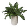 Verdure Fern In Glazed Pot, Artificial Plants & Flower by Uttermost, 18.75" width x 16.25" height x 18.75" depth thumbnail 4