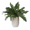 Verdure Fern In Glazed Pot, Decorative by Uttermost, 18.75" width x 16.25" height x 18.75" depth thumbnail 4