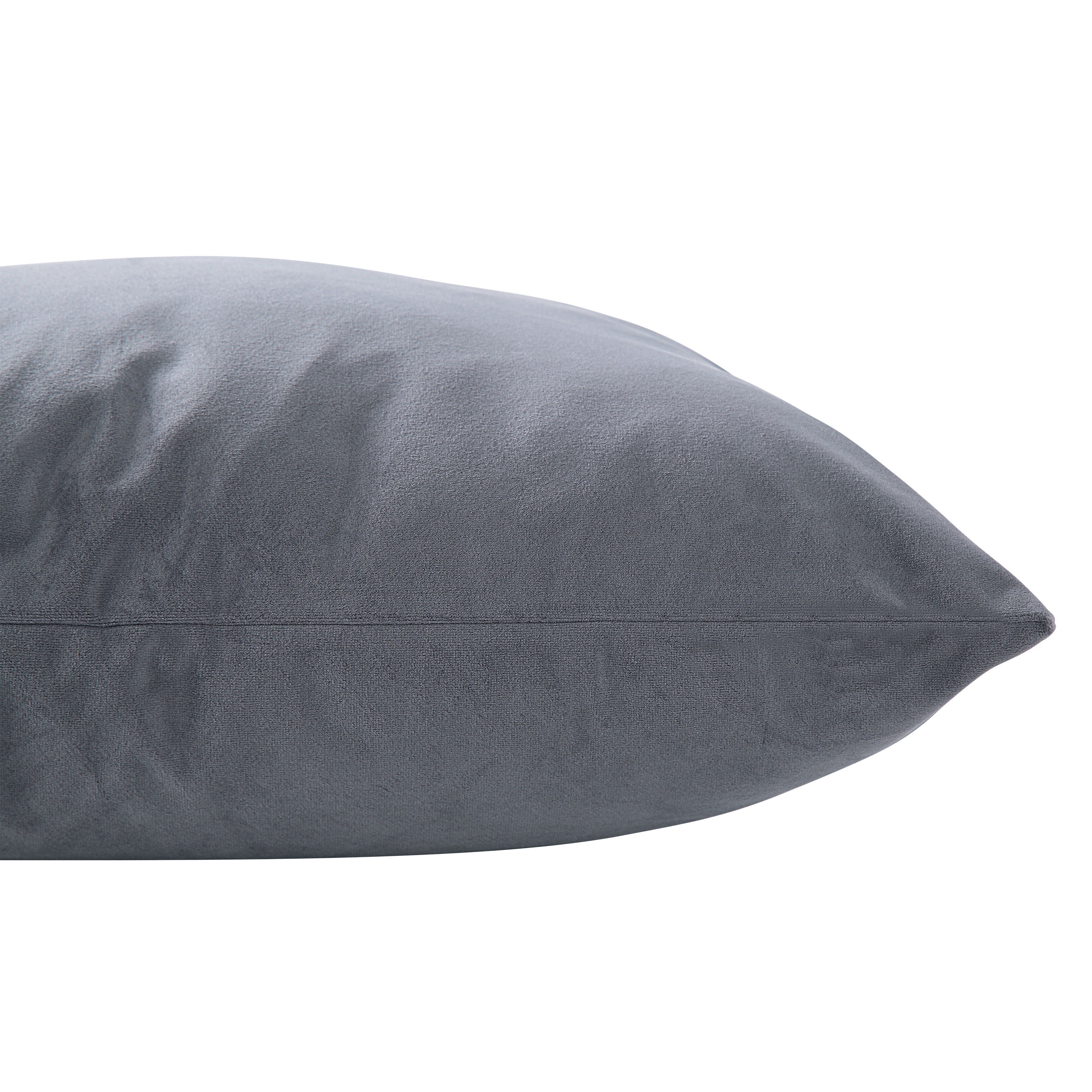 Anemone Indoor Pillow large image 