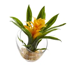 Online Designer Bedroom Bromeliad Arrangement in Vase
