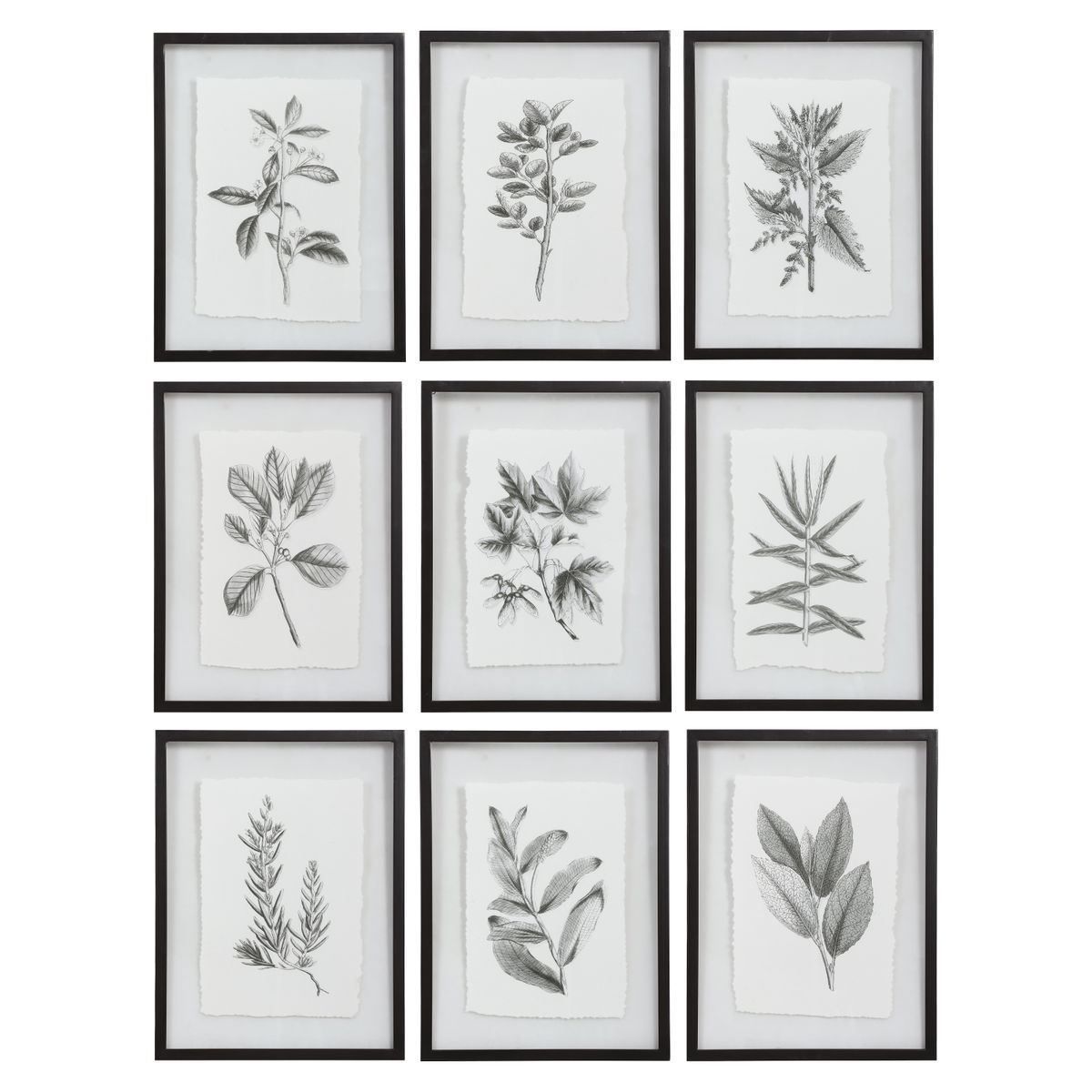 Farmhouse Florals Framed Prints Set/9, Art by Uttermost, 17.5" width x 23" height x 0.75" depth View 1