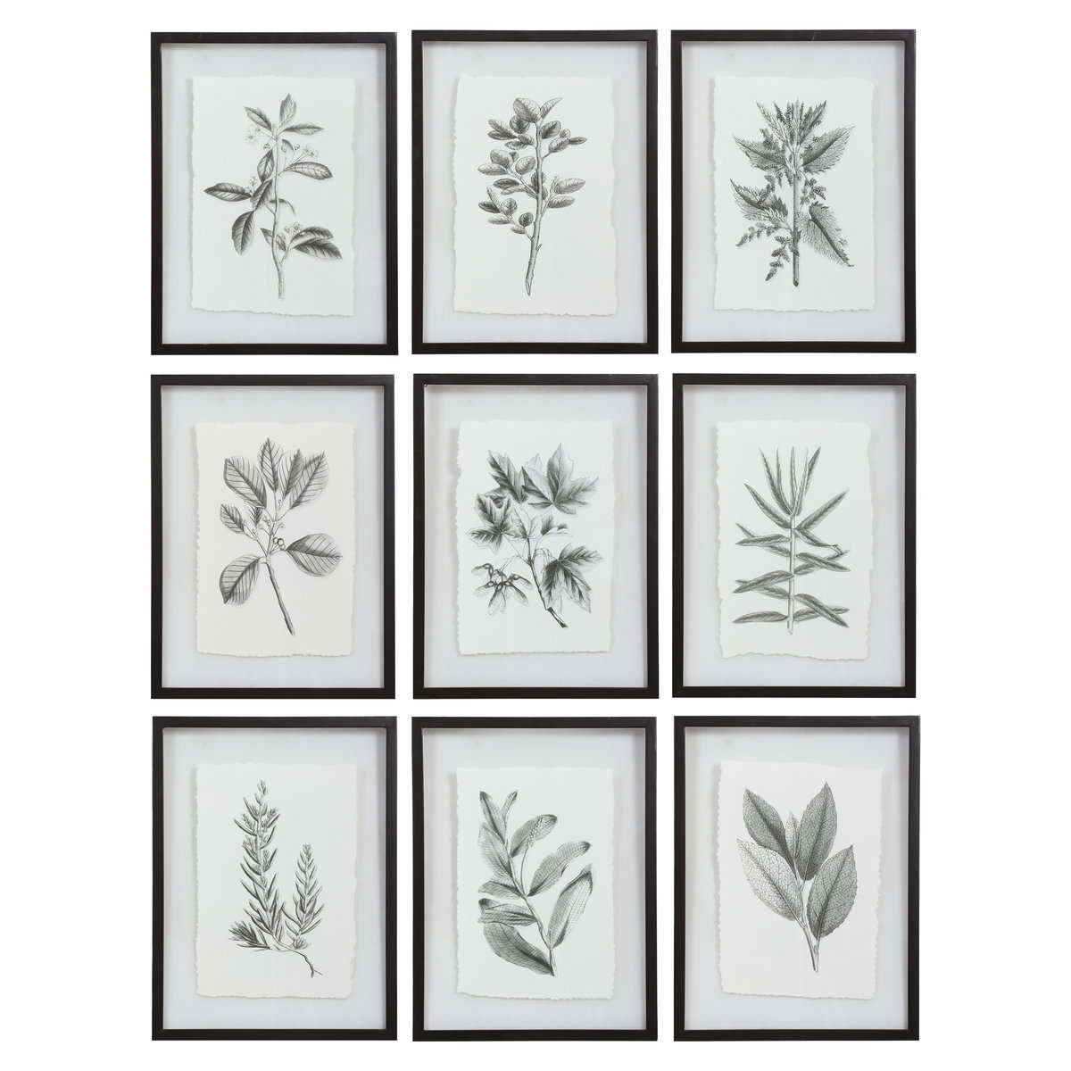 Farmhouse Florals Framed Prints Set/9, Painting by Uttermost, 17.5" width x 23" height x 0.75" depth View 1