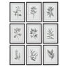 Farmhouse Florals Framed Prints Set/9, Painting by Uttermost, 17.5" width x 23" height x 0.75" depth thumbnail 1