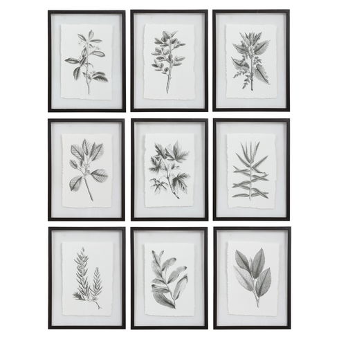 Farmhouse Florals Framed Prints Set/9