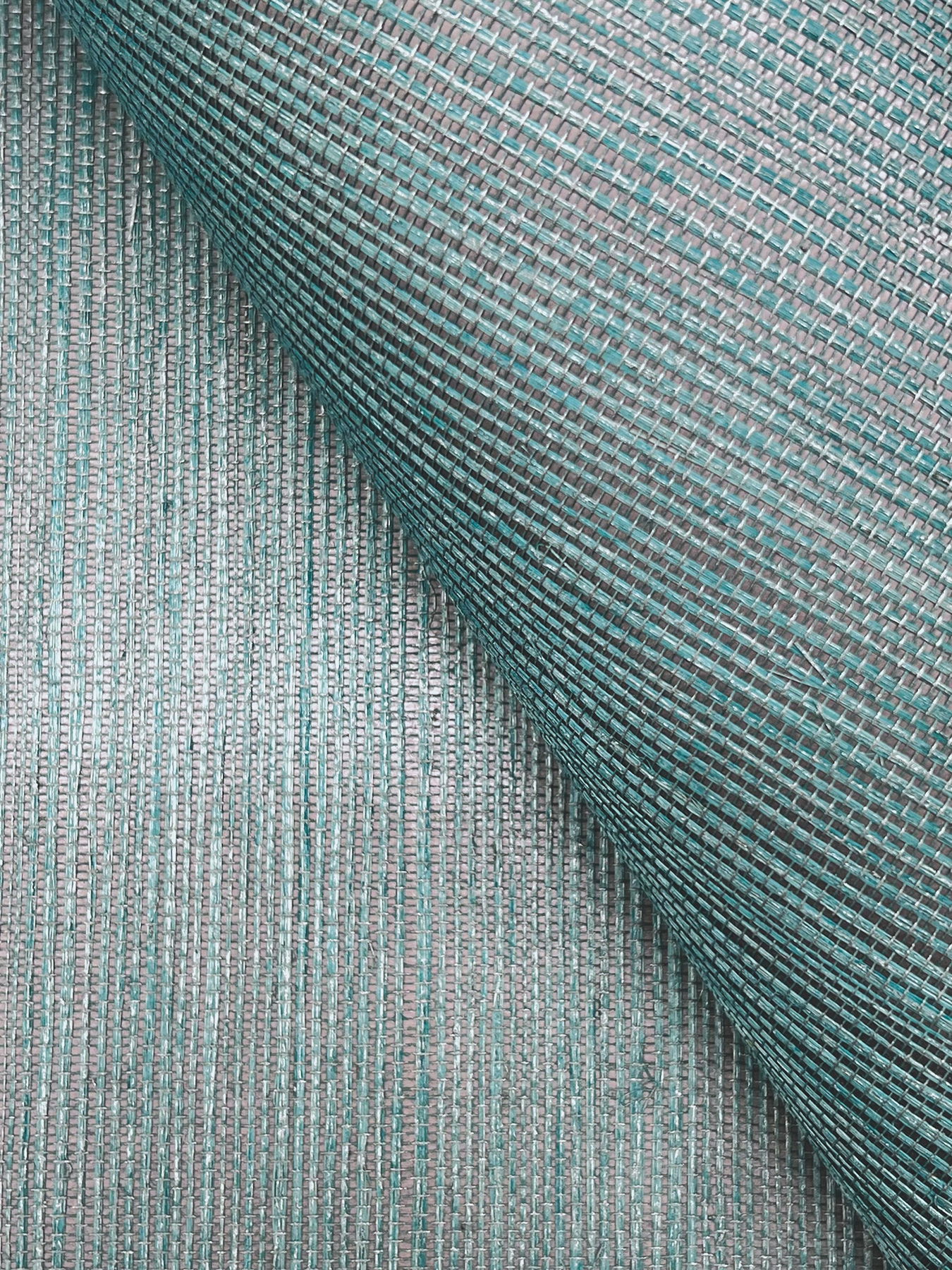 Maguey Sisal Dragonfly Wallpaper large image 
