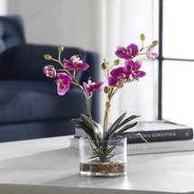 Online Designer Bedroom Glory Fuchsia Orchid