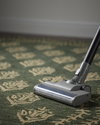 Rifle Paper Co. x Loloi Lisette Rug, 5' length x 7'6" width thumbnail 2