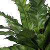 Verdure Fern In Glazed Pot, Artificial Plants & Flower by Uttermost, 18.75" width x 16.25" height x 18.75" depth thumbnail 6