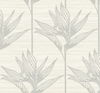 Bird of Paradise Grey Wallpaper thumbnail 0