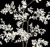 Lunaria Silhouette Black & White Wallpaper thumbnail 0
