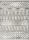 Elaziz Machine Woven Rug thumbnail 0