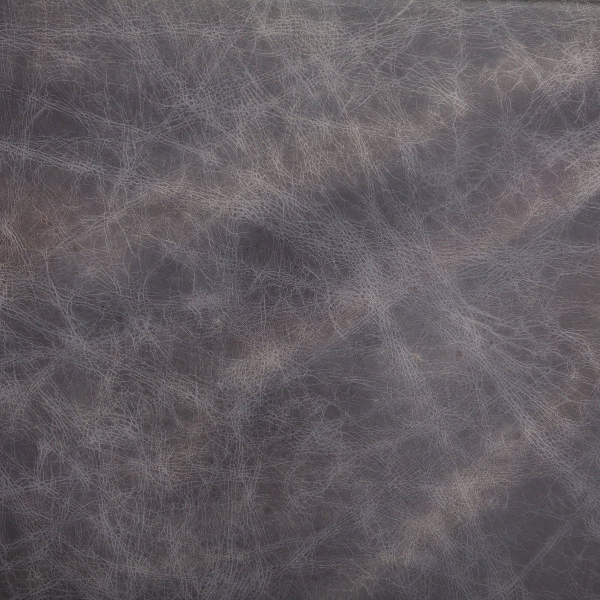 Hornet II Black Leather Body Metal Frame Accent Chair, by Mercana, 27.17" length x 36.61" width x 34.25" height View 6