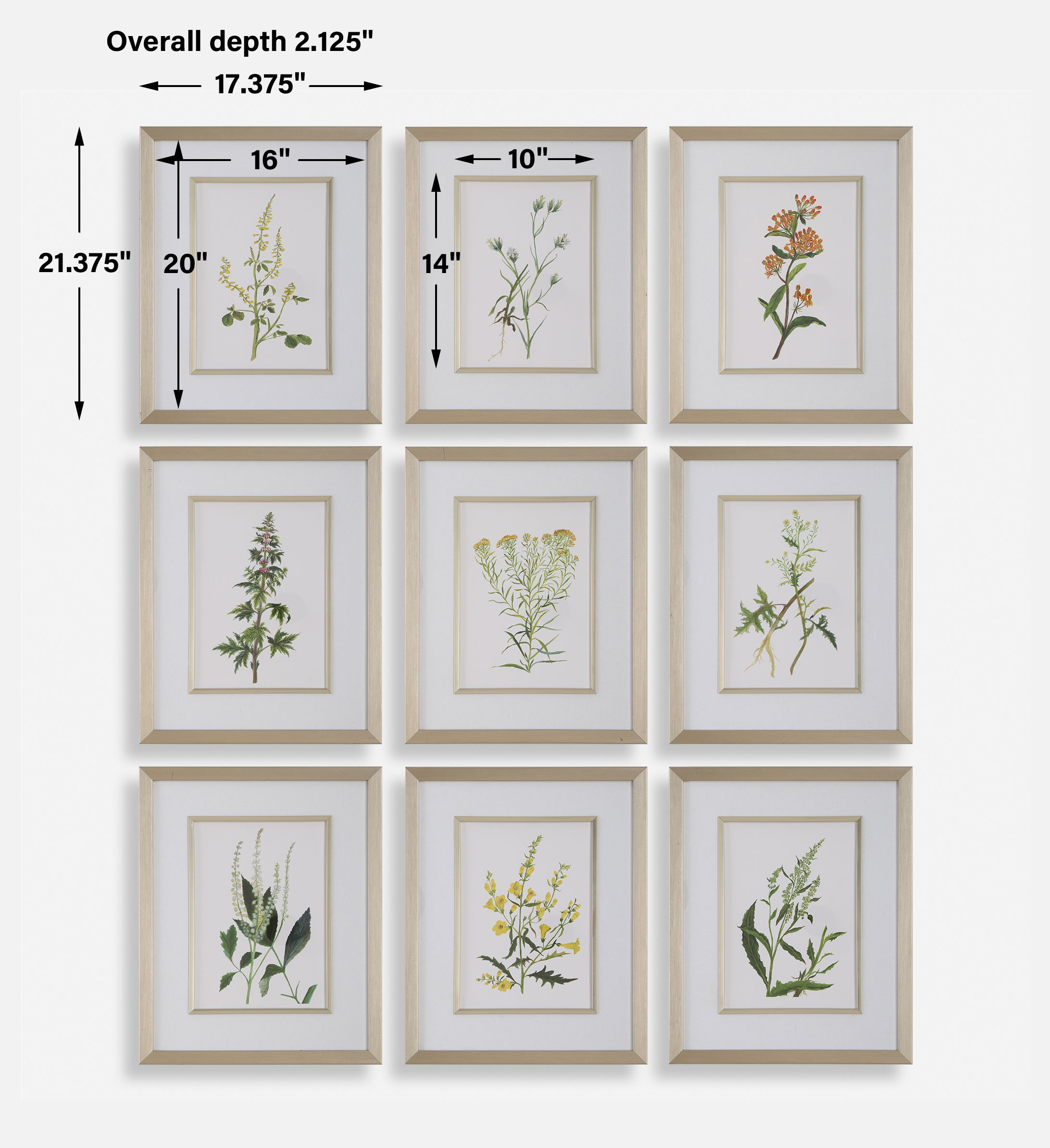 Botanical Flowers Framed Prints, S/9 large image 