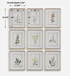 Botanical Flowers Framed Prints, S/9 thumbnail 2