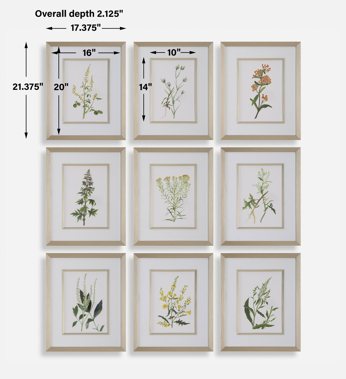 Botanical Flowers Framed Prints Set/9, Art by Uttermost, 17.37" width x 21.37" height x 2.12" depth View 3