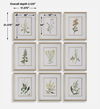 Botanical Flowers Framed Prints Set/9 2 Botanical Flowers Framed Prints Set/9 thumbnail 2