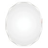 Astor Wall Mirror, by Renwil, 28" height x 1" depth thumbnail
