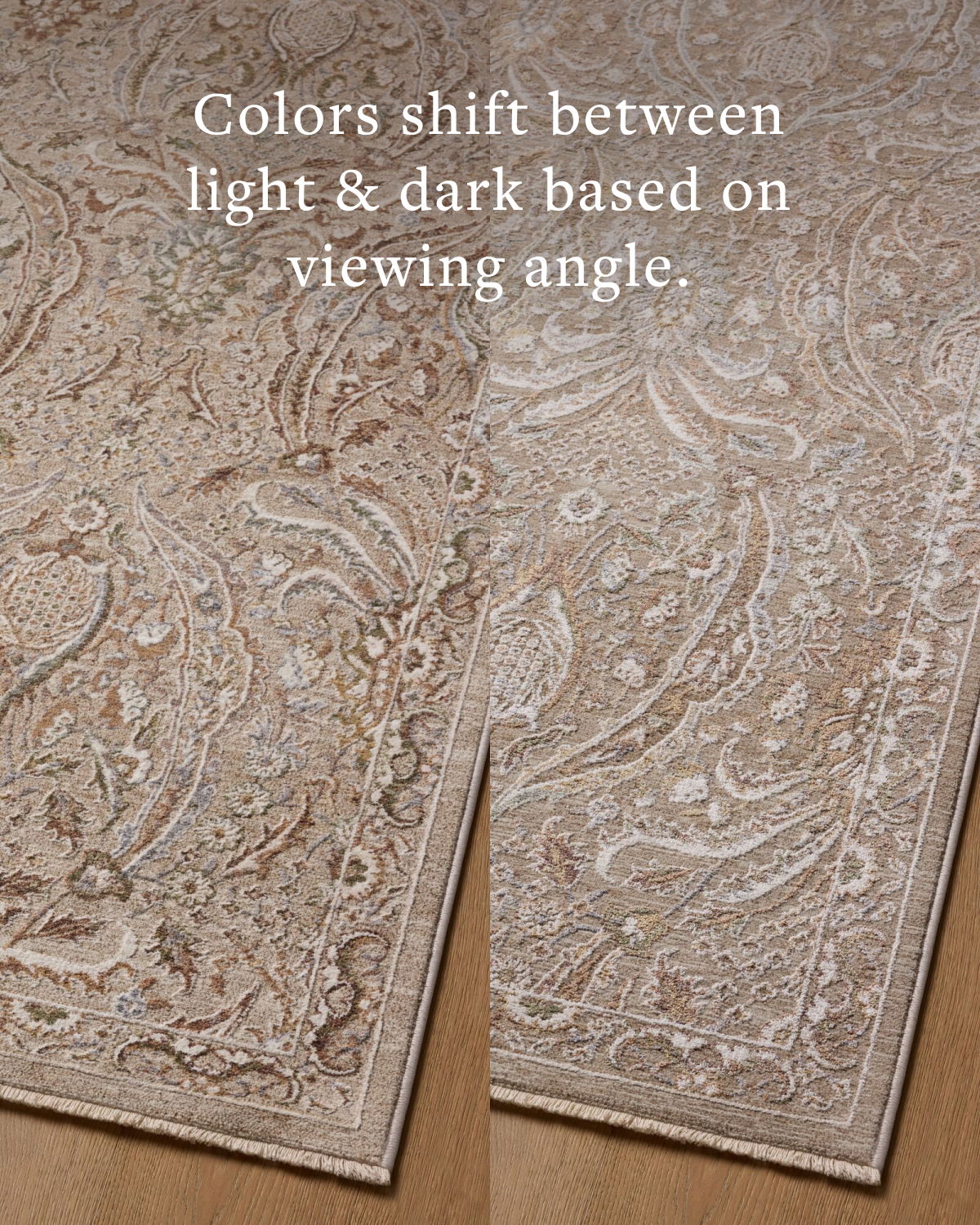 Loloi Aylin Rug, 2'6" length x 7'6" width View 5