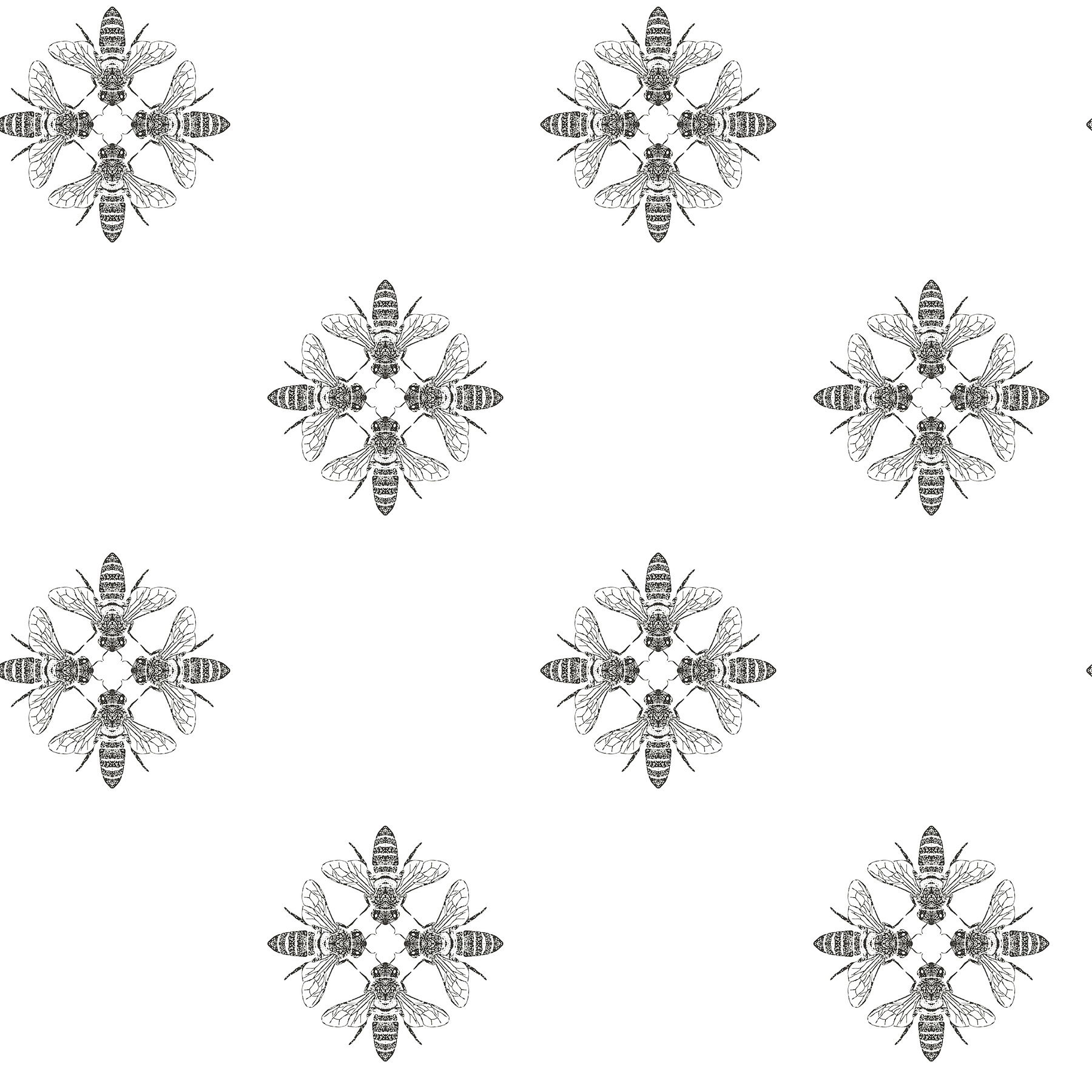 Honey Bee Black & White Wallpaper large image 