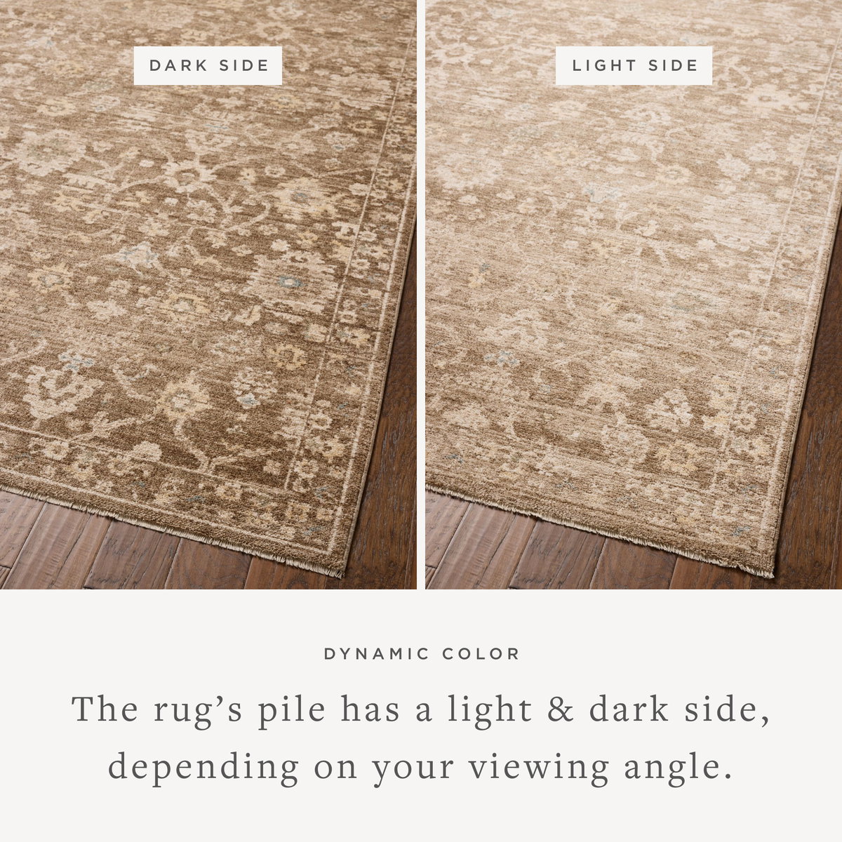 Chris Loves Julia x Loloi Palma Rug, 1'6" length x 1'6" width View 4