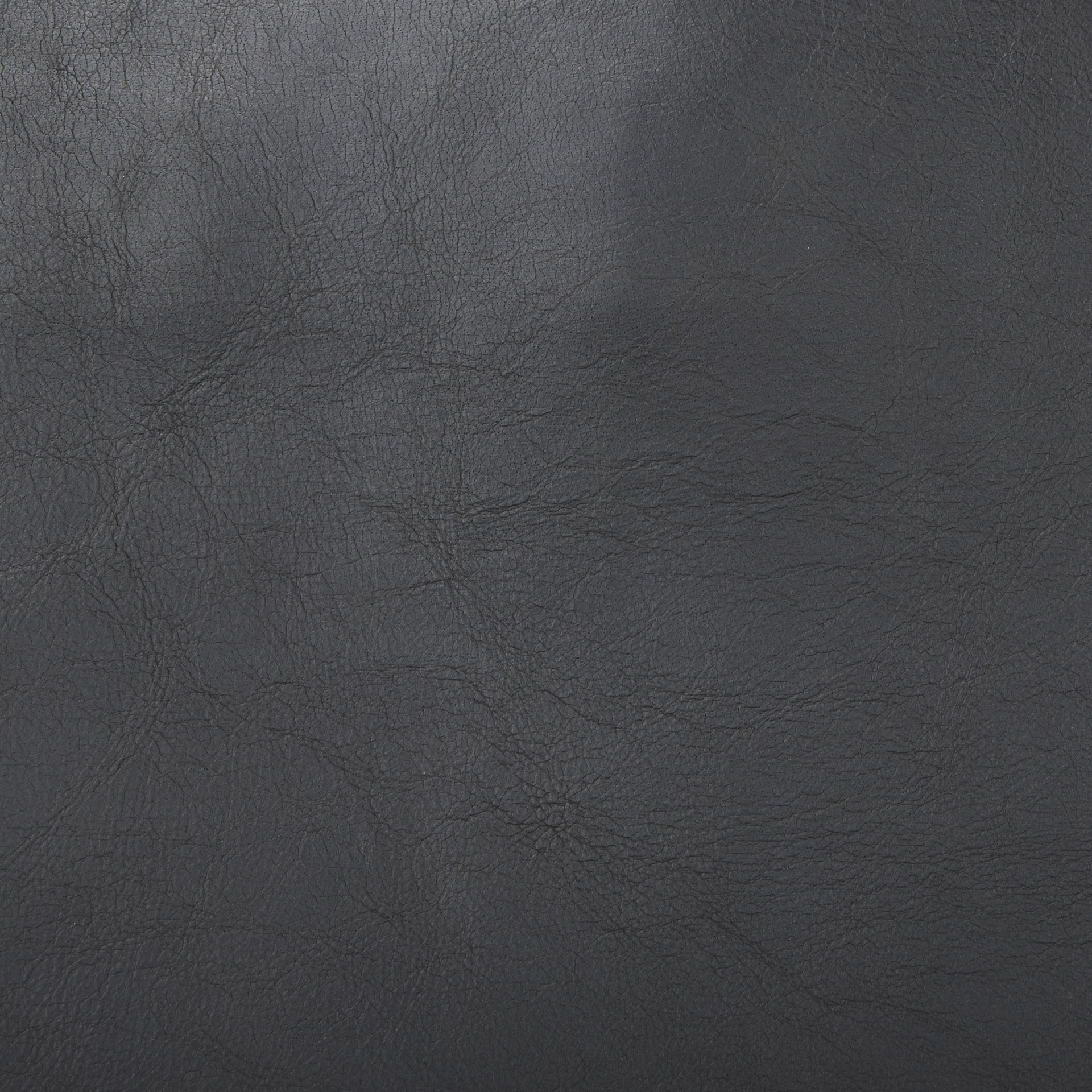 Elodie 24.4L x 33.9W x 30.7H Black Leather with Black Stain Beech Wood Frame Accent Chair, by Mercana, 24.41" length x 31.5" width x 30.71" height View 2