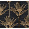 Bird of Paradise Black & Gold Wallpaper thumbnail 0