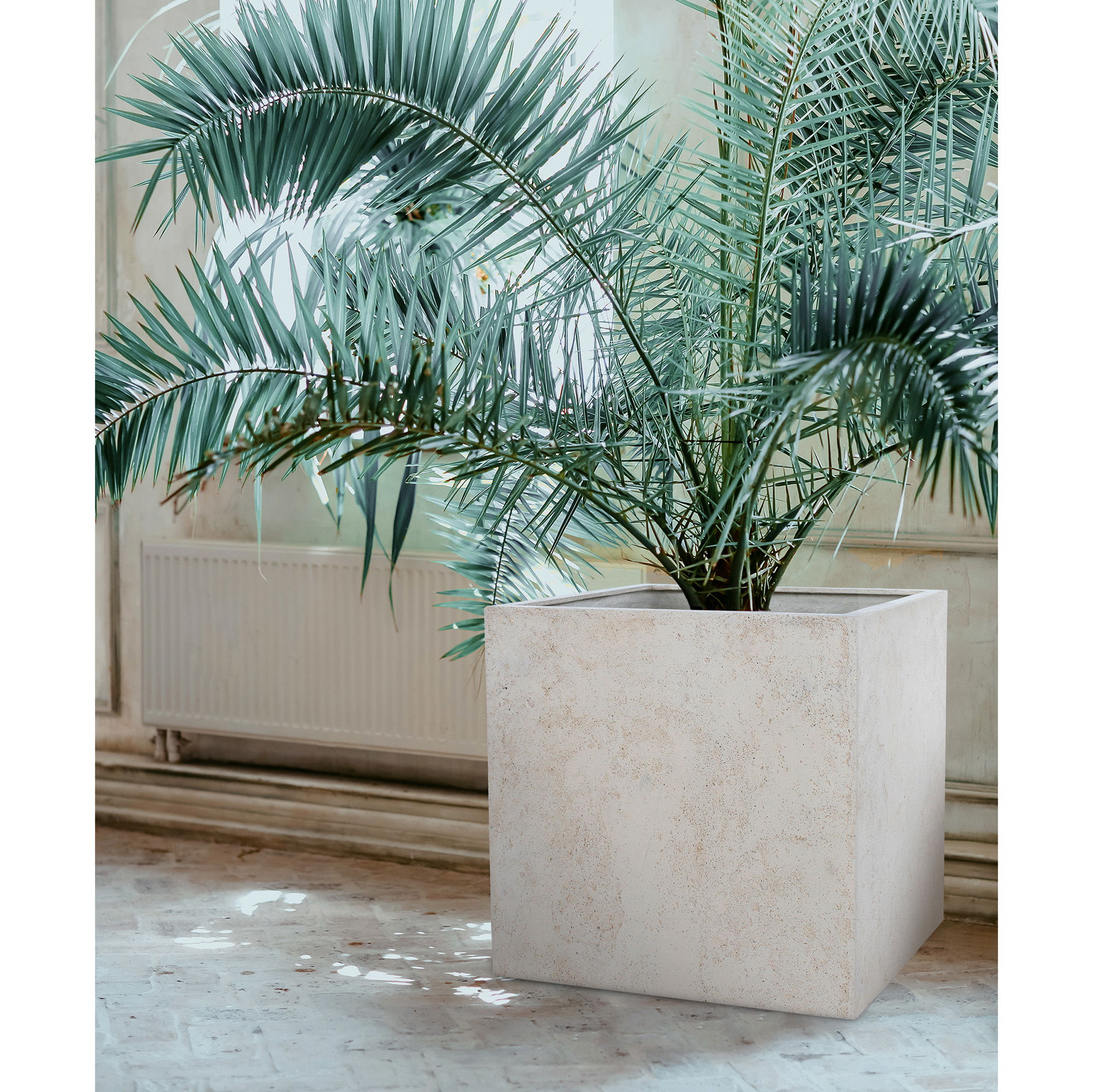 Alona Planter large image 