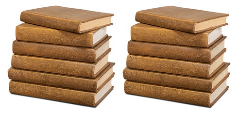 Shagreen Books  Set Of 12  Tawny Brown