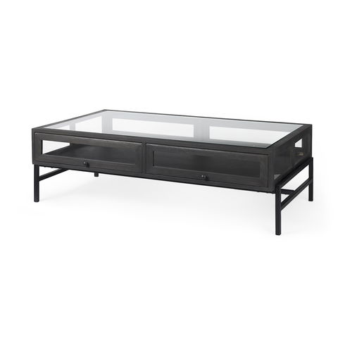 Arelius 42"L Rectangular Glass-Top Black-Brown Wood with Black Metal Base Display Coffee Table