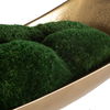 Venice Moss Centerpiece thumbnail 4