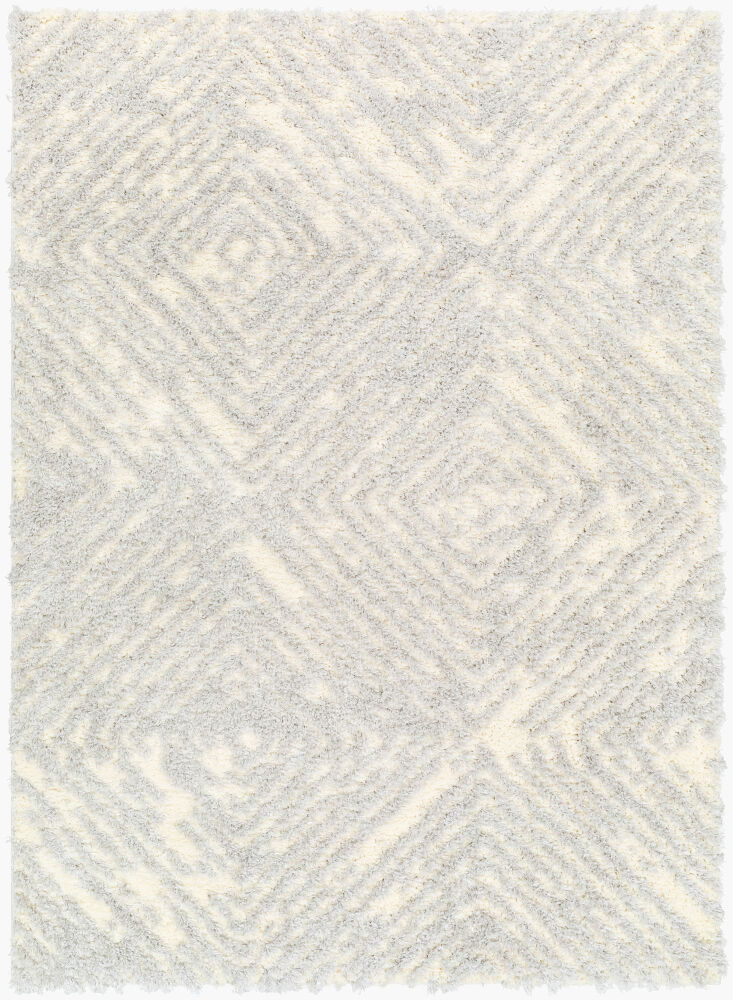 Everton Plus Machine Woven Rug large image 