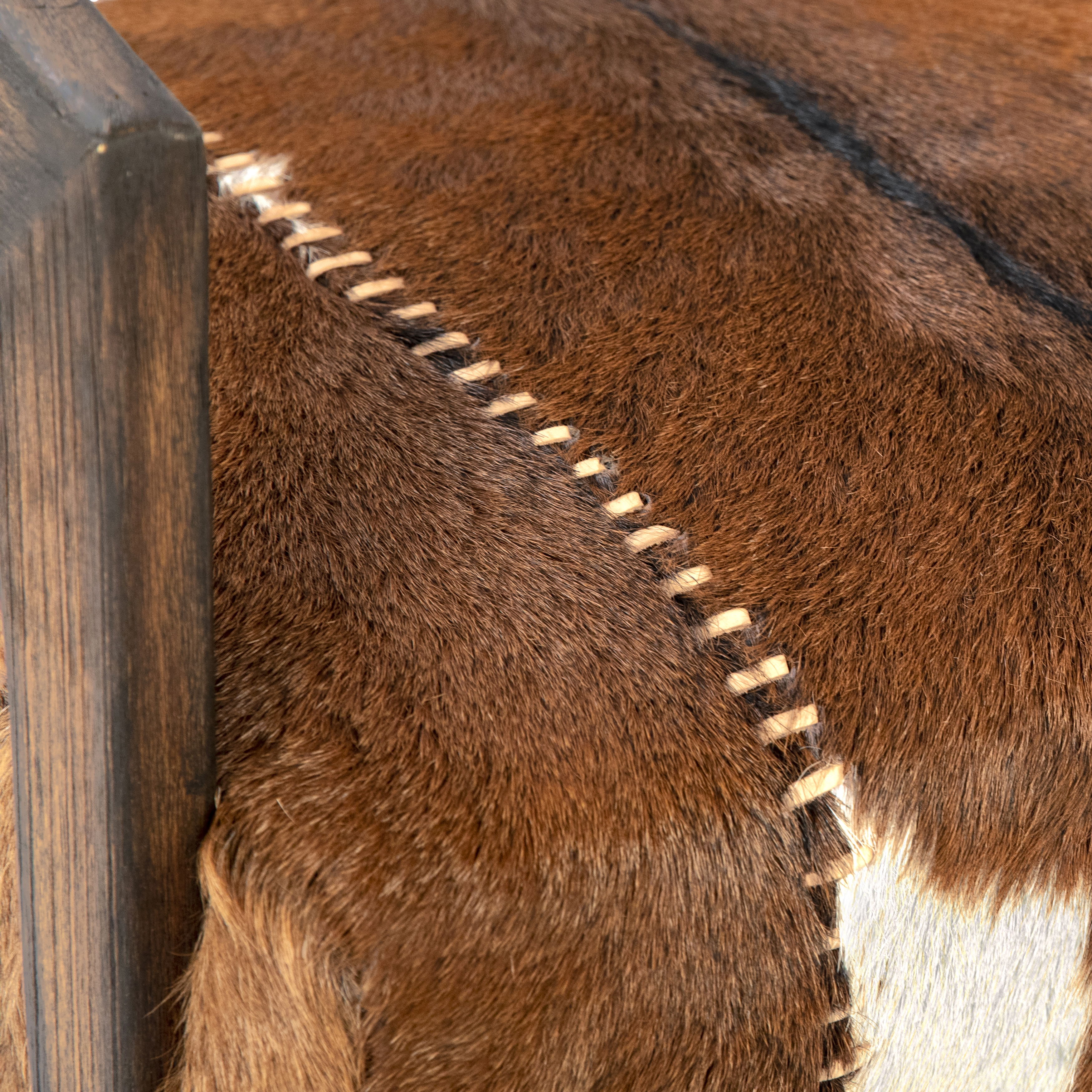 Liara Occasional Chair Brown, Accent Chair by Dovetail, 30" width x 31.38" height x 28.5" depth View 3