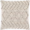 Anders Accent Pillow Down, Decorative Pillow by Surya, 18" length x 18" width thumbnail