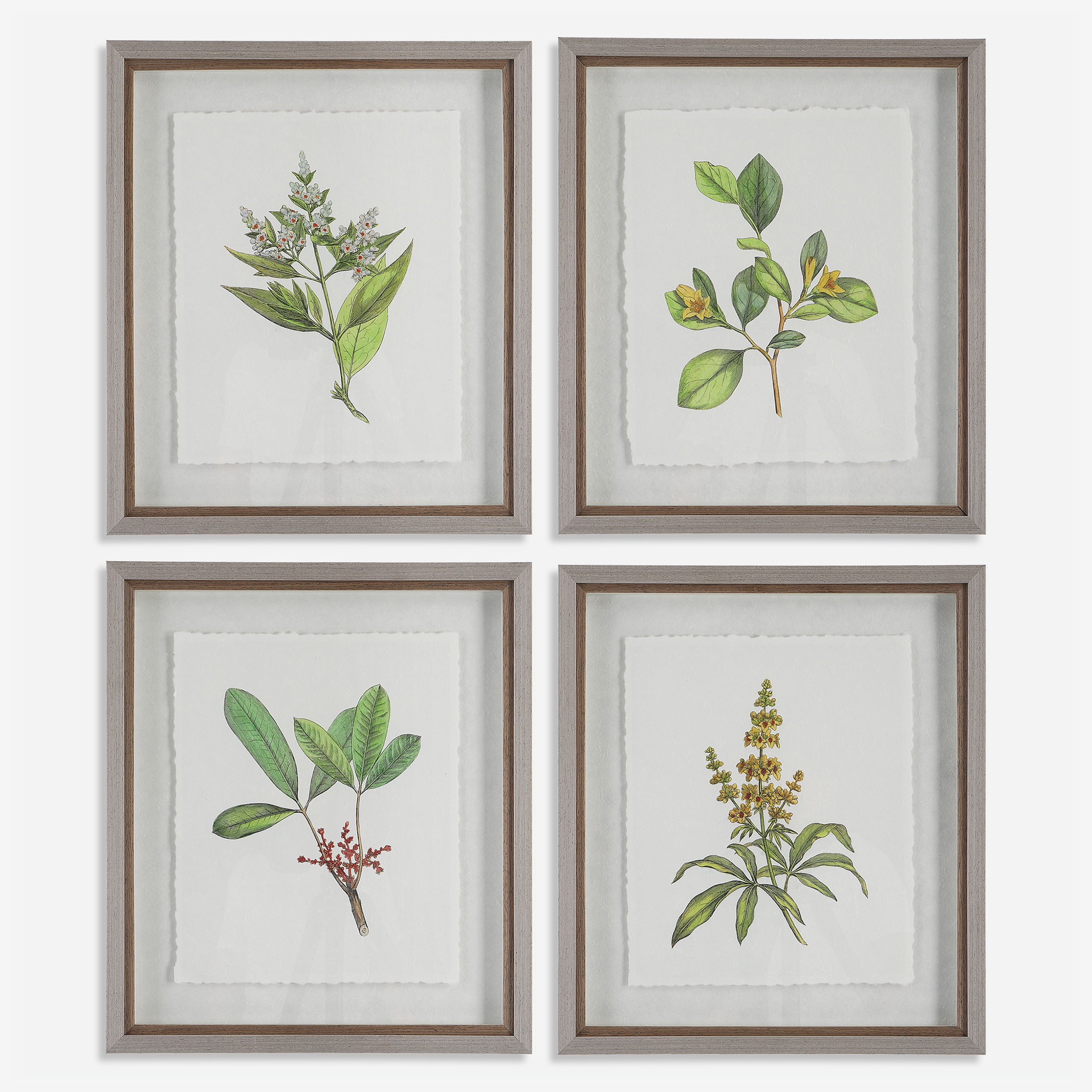 Wildflower Study Framed Prints, S/4 large image 