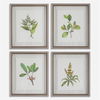 Wildflower Study Framed Prints, S/4 thumbnail 0