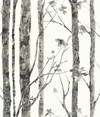 Trees Grey Peel & Stick Wallpaper, by York Wall, 16'6" length x 1'8.5" width x 0.02" depth thumbnail