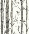 Trees Grey Peel & Stick Wallpaper, by York Wall, 16'6" length x 1'8.5" width x 0.02" depth thumbnail