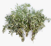 Online Designer Other Live Olive Leaves, 3 Bunches