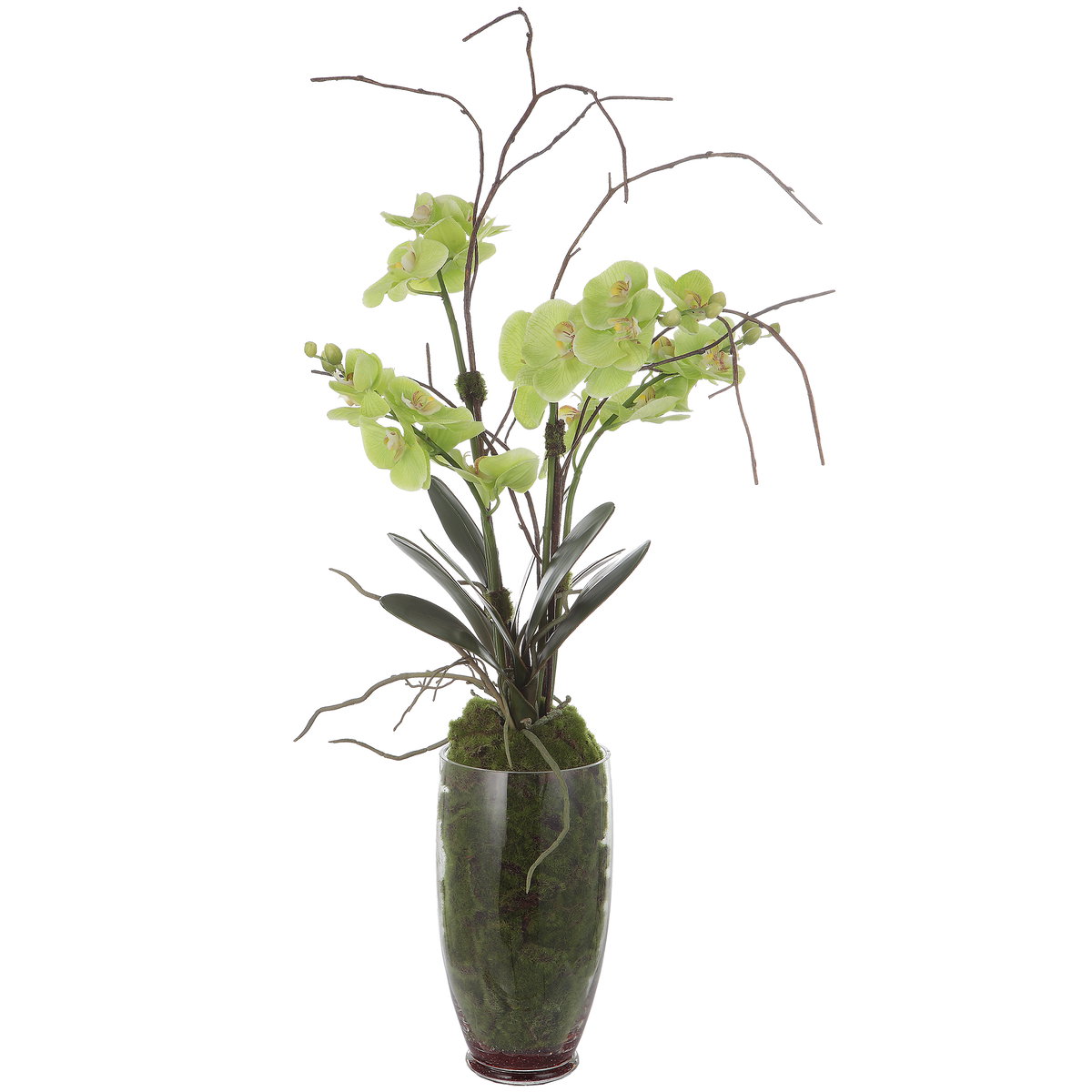 Valdive Orchid, Artificial Plants & Flower by Uttermost, 21" width x 38" height x 21" depth View 1