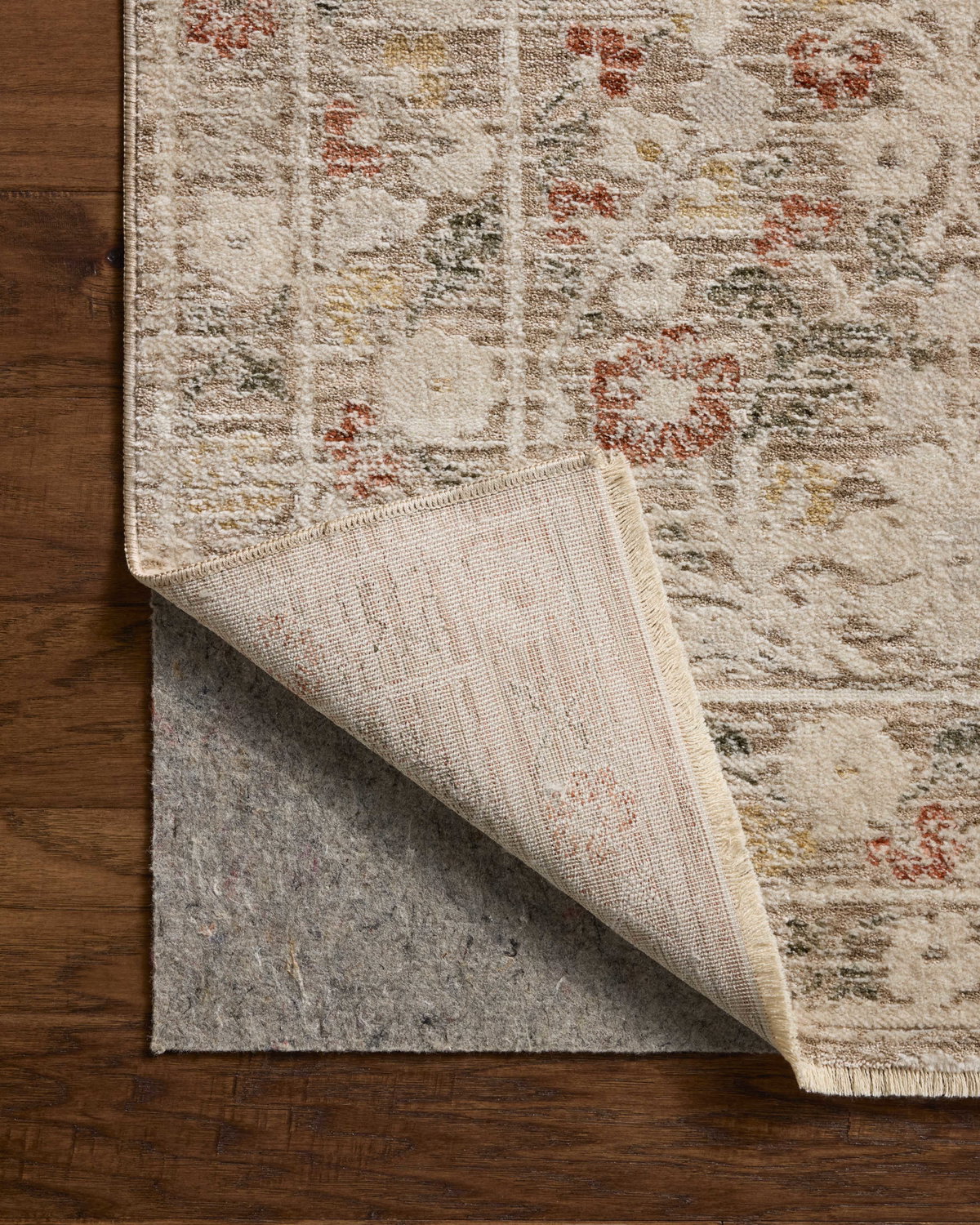 Loloi Clarisse Rug, 2' length x 3' width View 5