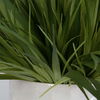Edgewood Greenery Set/2 thumbnail 4